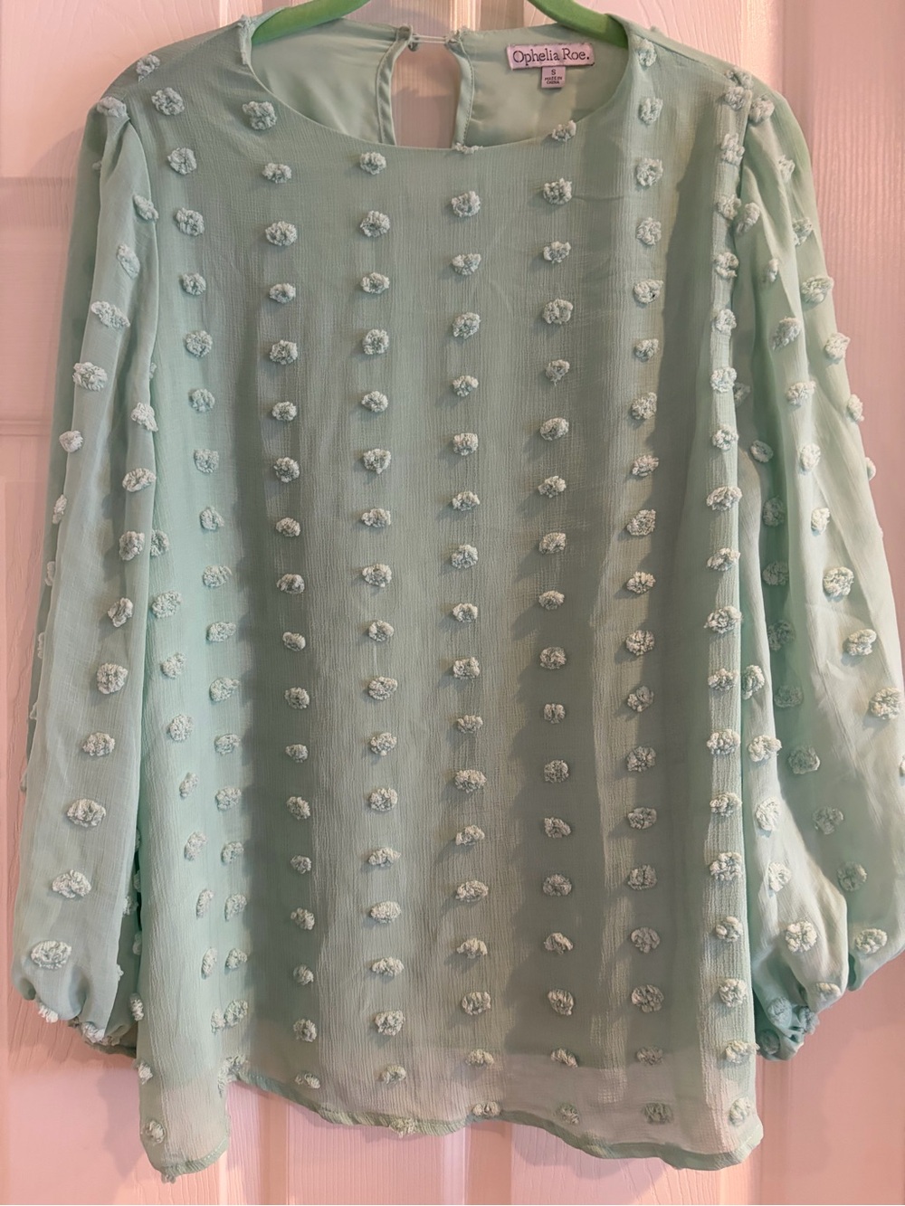Ophelia Rose Mint Textured Swiss Dot Blouse/Shirt